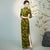 Elegant Velvet Bamboo Print A-line Cheongsam Dress Vintage Style 3/4 Sleeve Plus Size