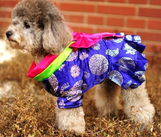 Traditional Korea Costume Hanbok with Bownot for Dog Teddy – IDREAMMART