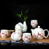 Juego de té de kung fu de porcelana con pintura floral y pájaros, tazas y tetera, 7 piezas
