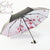 Paraguas plegable oriental con pintura de tinta china Sakura
